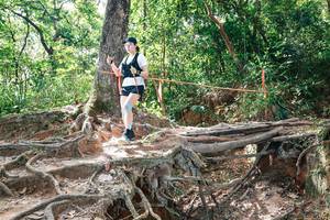 BIB: 
                            <button type="button" onclick="openModal(27722056)" class="btn btn-primary btn-sm float-right btn-popup" data-toggle="modal" data-target=".modal-high-quality">
                        <i class="fas fa-shopping-cart"></i> Add to Cart
                    </button>
                                            <button type="button" onclick="isThisMe(27722056, true)" class="btn btn-success btn-sm float-right btn-popup btn-isme hidden" data-toggle="tooltip" data-placement="bottom" title="นี่คือรูปของคุณใช่ไหม คลิกที่นี่เพื่อเอาเข้าอัลบั้ม">
                        <i class="fas fa-plus"></i> Add to album
                    </button>
                    <button type="button" onclick="isThisMe(27722056, false)" class="btn btn-warning btn-sm float-right btn-popup btn-isnotme hidden">
                        <i class="fas fa-ban"></i> Remove from album
                    </button>